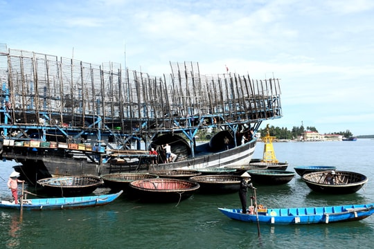Nghề cá Đà Nẵng chuyển biến sâu rộng