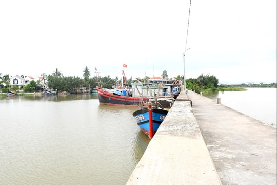 Sớm hoàn thiện hạ tầng nghề cá