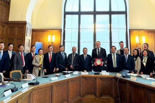 Da Nang, Germany’s Chemnitz foster cooperation in hi-tech and innovation