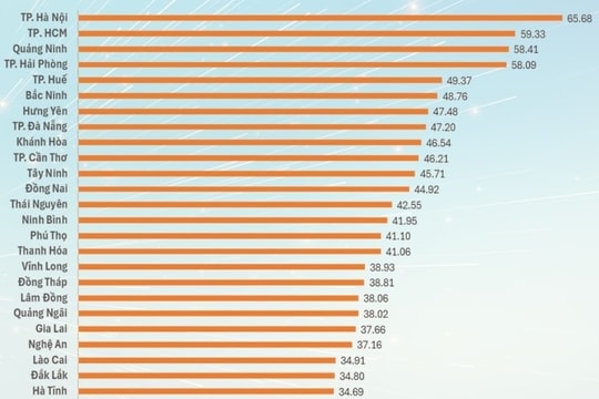 Da Nang ranks 8th in Provincial Innovation Index 2025