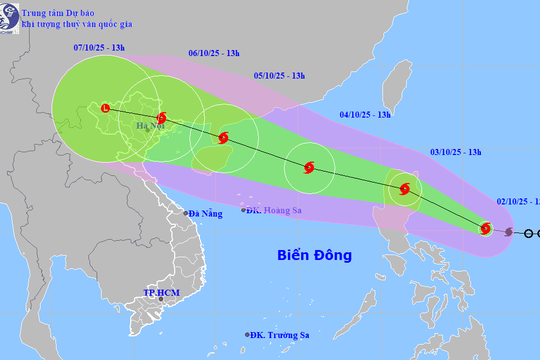 Đà Nẵng quản lý chặt chẽ tàu thuyền ra khơi, chủ động ứng phó bão Matmo
