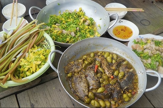 Cà na trong mùa nước nổi