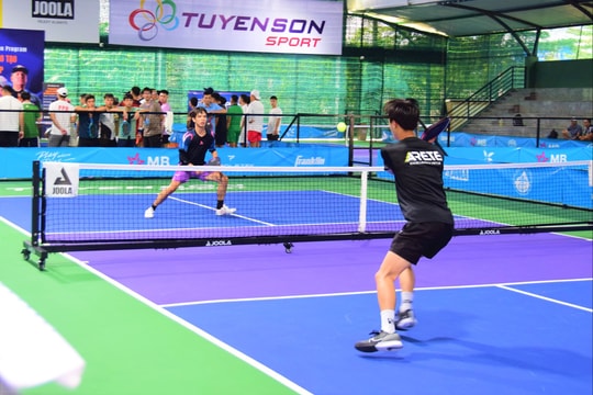 Mở đăng ký giải Pickleball tranh cúp Danasme 2025