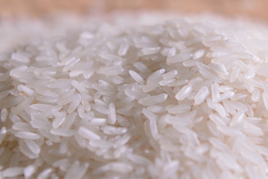 Giá lúa gạo hôm nay 7/10: Thị trường đi ngang
