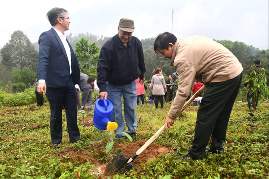 Gieo mùa no ấm chiến khu xưa