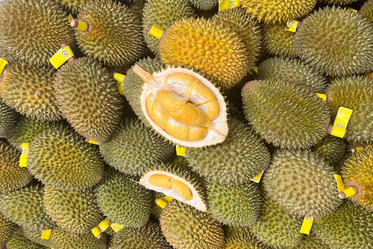 Giá sầu riêng hôm nay 7/10: Thị trường khởi sắc