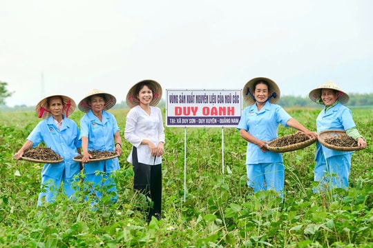 Nâng tầm thương hiệu sản phẩm công nghiệp nông thôn