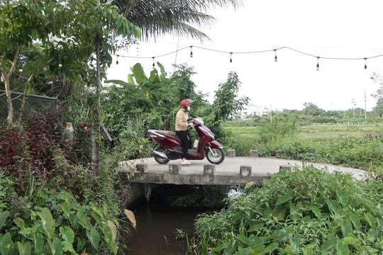 Hội Cựu chiến binh phường Tam Kỳ xây dựng 12 cây cầu dân sinh