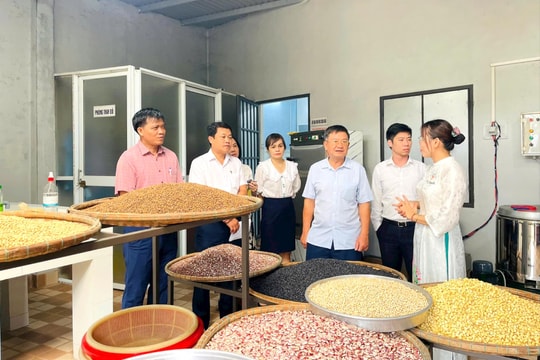 Kinh tế tập thể và “luồng gió mới” từ người trẻ