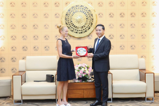Da Nang strengthens cooperation with Italian localities