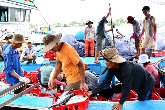 Số hóa để hiện đại nghề cá