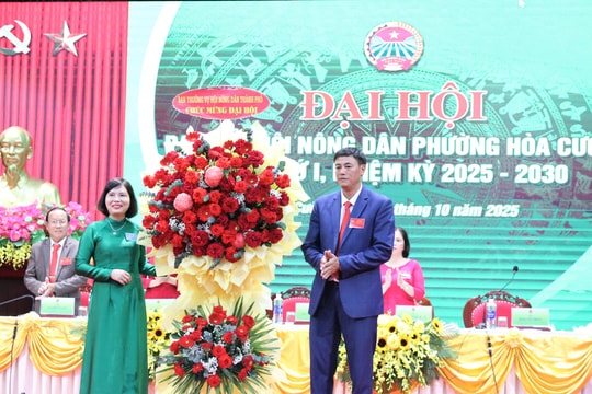 Hội Nông dân phường Hòa Cường: Phấn đấu tăng hội viên đạt danh hiệu “Nông dân sản xuất, kinh doanh giỏi”