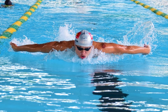 Đóng góp của bơi Đà Nẵng