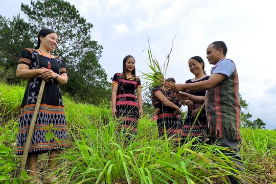 Mô hình chính quyền địa phương hai cấp ở Đà Nẵng: Bài 2: Miền núi quyết tâm vượt khó để phát triển