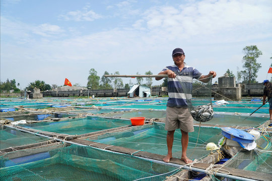 Khai thác, nuôi trồng thủy sản đạt kết quả tích cực