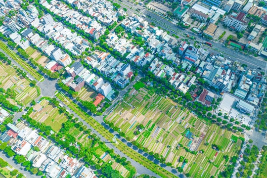 Những mảng xanh trong phố