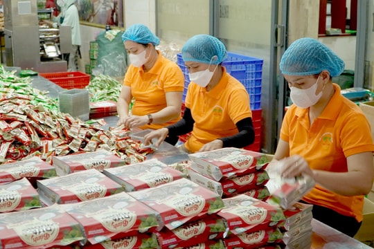 Tiếp tục phát huy hiệu quả Chương trình OCOP