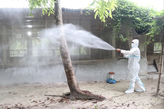 Nông dân với lựa chọn chăn nuôi an toàn