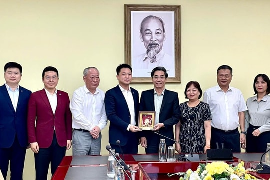 Tập đoàn Xây dựng Thái Bình Dương tìm hiểu cơ hội hợp tác, đầu tư tại Đà Nẵng