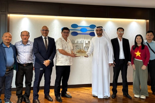 Đà Nẵng xúc tiến hợp tác đổi mới sáng tạo với UAE