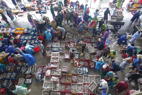 Thúc đẩy giá trị tăng thêm của ngành nông nghiệp