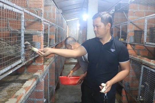 Kiểm soát quản lý hoạt động gây nuôi động vật hoang dã