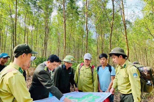 Giữ gìn và phát huy giá trị rừng, hướng tới đô thị sinh thái