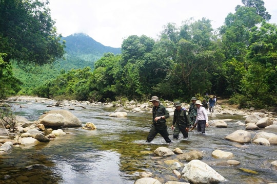 “Quản lý, bảo vệ, phát triển rừng và phòng cháy, chữa cháy rừng”: Phát huy hiệu quả sau hợp nhất