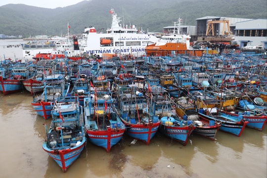 Gió mạnh và sóng lớn trên các vùng biển, tàu thuyền chủ động phòng tránh