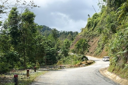 Nguy cơ cắt đường tuyến ĐT606, Sở Xây dựng thành phố Đà Nẵng cảnh báo khẩn