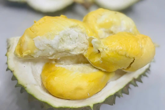 Giá sầu riêng hôm nay 20/10: Duy trì tín hiệu tích cực