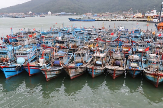 Ngư dân đoàn kết vươn khơi bám biển