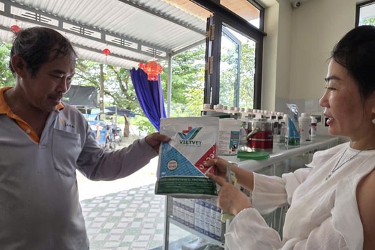 Nông dân sản xuất giỏi, góp sức xây dựng nông thôn mới