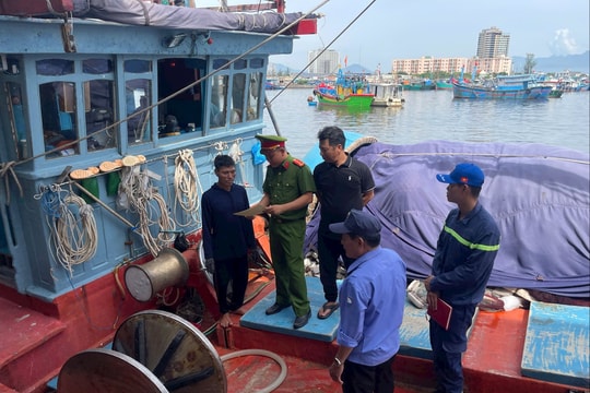 Thành lập Ban Chỉ đạo phòng cháy, chữa cháy và cứu nạn, cứu hộ thành phố Đà Nẵng