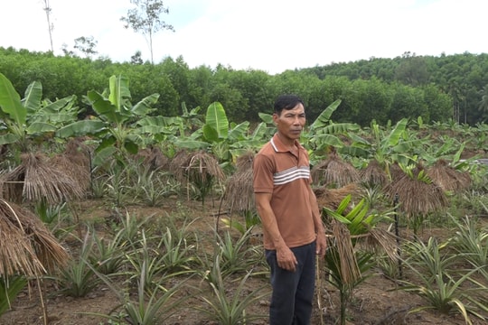 Đức Phú phát huy tiềm năng tài nguyên vùng núi