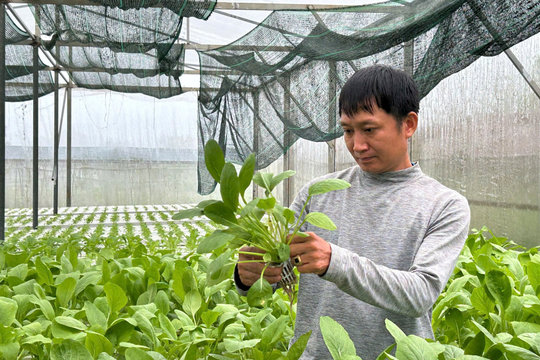 Encouraging high-tech agricultural development