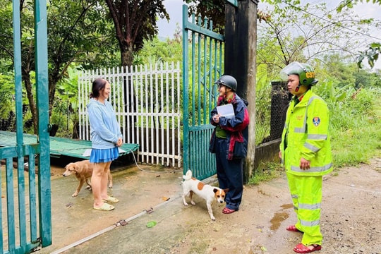 Vận động 20 hộ dân trên bán đảo Sơn Trà di dời để phòng, chống bão số 12