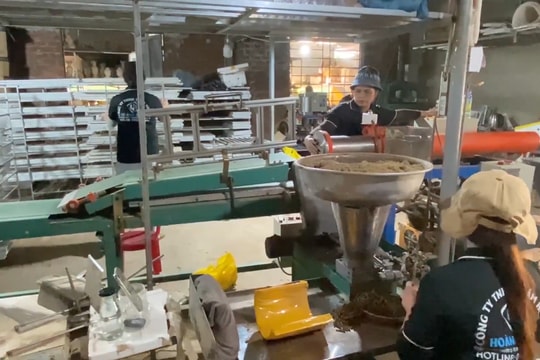 Học Bác từ những việc làm bình dị