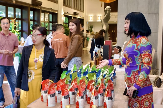Da Nang business community moves toward a green economy