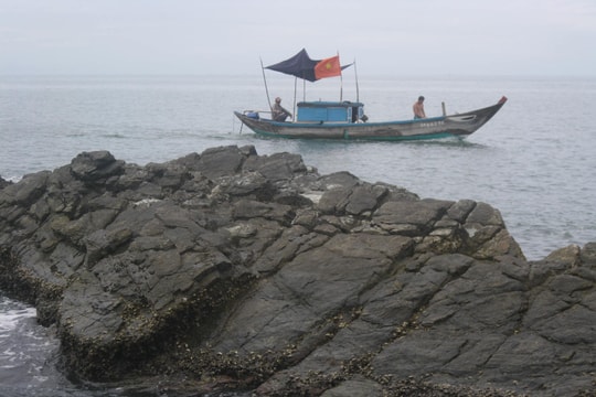 Xúc tiến xác lập công viên địa chất vùng cực nam Đà Nẵng