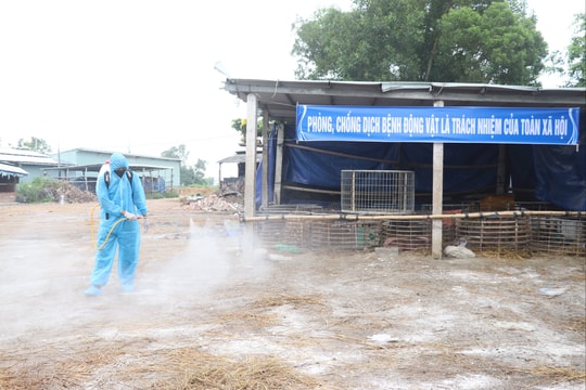 Cần đảm bảo nguồn nhân lực thú y cơ sở