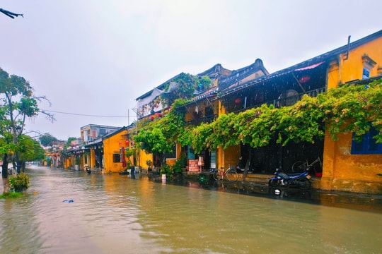 Thương bão quê nhà