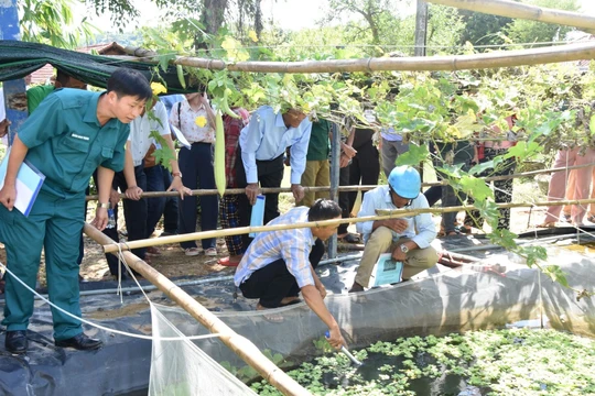 Ứng dụng khoa học - công nghệ trong sản xuất nông nghiệp