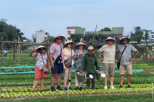 Những điểm sáng du lịch vùng ven phố cổ Hội An