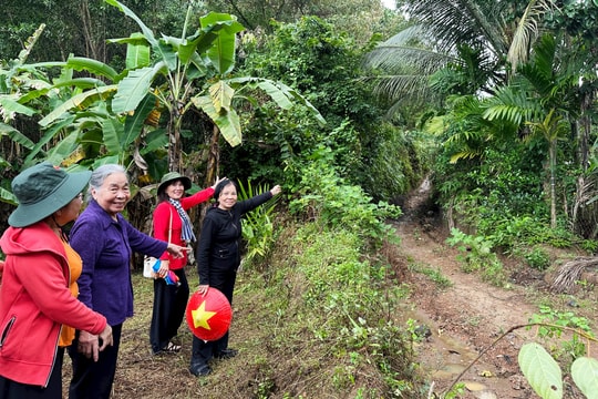 Hóc Sen - Dấu son lịch sử của phong trào Mặt trận Trung Trung Bộ