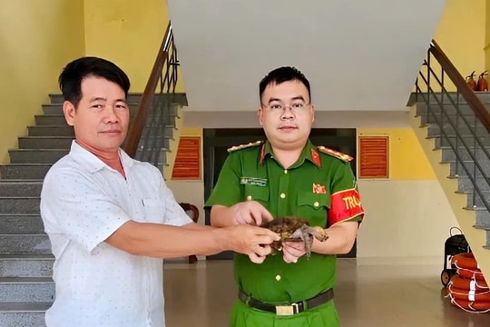 Công an xã Phú Thuận tiếp nhận cá thể rùa quý hiếm do người dân tự nguyện giao nộp