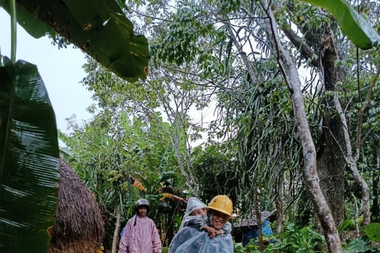 Thủy lợi điều tiết, các xã Chiên Đàn, Phú Ninh, Tây Hồ chủ động ứng phó mưa lũ