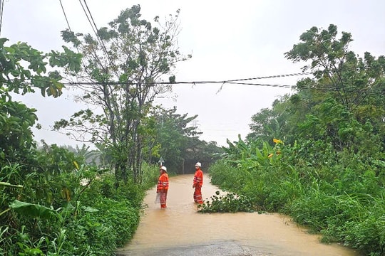 Hơn 176.000 khách hàng tại Đà Nẵng mất điện do mưa lớn, lũ lụt