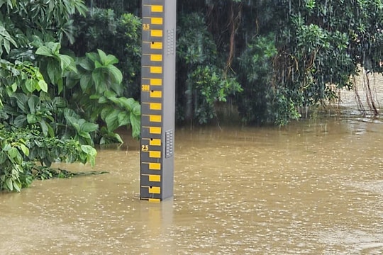 Đỉnh lũ trên sông Thu Bồn, Vu Gia thấp hơn đỉnh lũ lịch sử