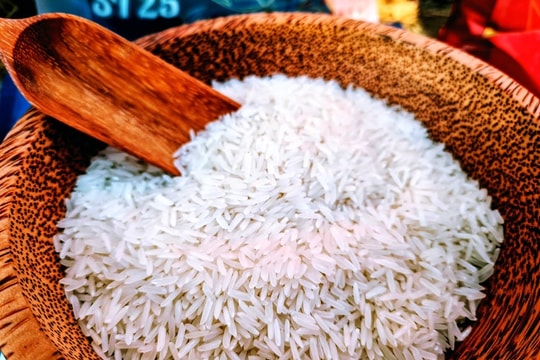 Giá lúa gạo hôm nay 28/10: Giao dịch trầm lắng, giá giảm nhẹ tại một số địa phương